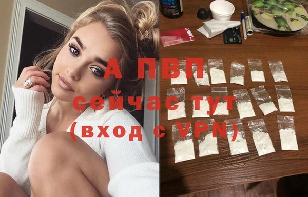 гашик Белоозёрский