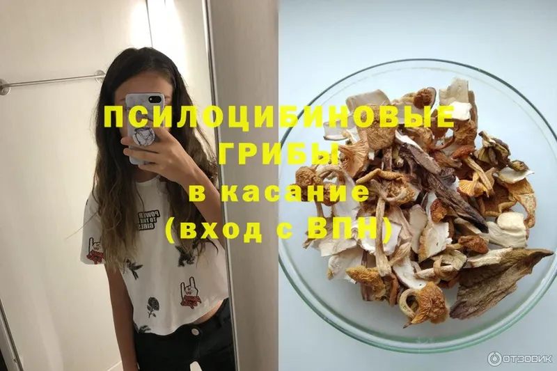 Псилоцибиновые грибы Psilocybe  сколько стоит  Комсомольск-на-Амуре 